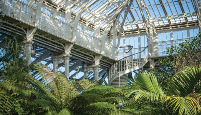 Inside Kew Gardens greenhouse